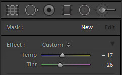 How to Fix Skin Tones in Lightroom