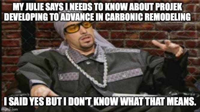 Ali G in a yellow-tinted pair of glasses and a do-rag, gesturing. Top text: "MY JULIE SAYS I NEEDS TO KNOW ABOUT PROJEK DEVELOPING TO ADVANCE IN CARBONIC REMODELING". Bottom text: "I SAID YES BUT I DON'T KNOW WHAT THAT MEANS."