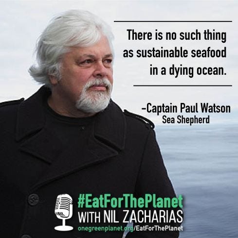 Can Seafood be Sustainable? Captain Paul Watson of Sea Shepherd Has the ...