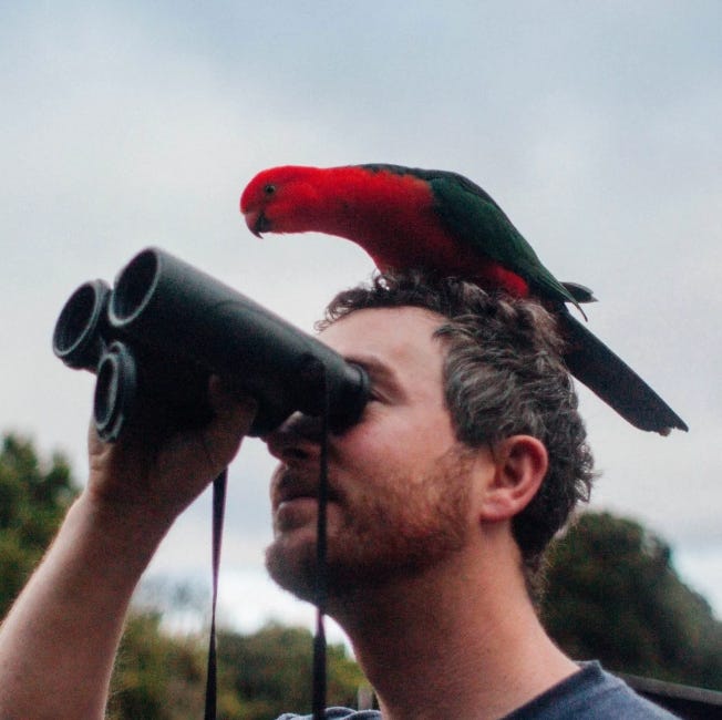 Le chercheur Will Feeny, un jeune homme aux cheveux courts, regarde à travers des jumelles. Sur sa tête, un oiseau rouge, genre perruche, se penche come pour regarder, lui aussi, à travers les jumelles