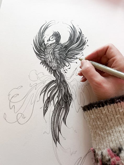Phoenix illustration pen and ink drawing work in progress by Georgie St Clair