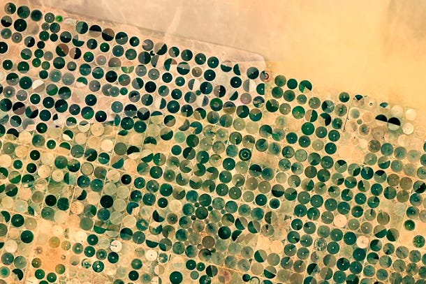 Das Satellitenbild zeigt zahlreiche grüne Kreise, die durch Kreis-Beregnungssysteme in einer Wüstenlandschaft entstanden sind. Die Kreise haben einen Durchmesser von je 800 Metern und eine Fläche von je 50 Hektar. Die trockenen, sandfarbenen Zwischenräume betonen die begrenzte landwirtschaftliche Nutzung in diesem Gebiet. Das Satellitenbild zeigt zahlreiche grüne Kreise, die durch Kreis-Beregnungssysteme in einer Wüstenlandschaft entstanden sind. Die Kreise haben einen Durchmesser von je 800 Metern und eine Fläche von je 50 Hektar. Die trockenen, sandfarbenen Zwischenräume betonen die begrenzte landwirtschaftliche Nutzung in diesem Gebiet.