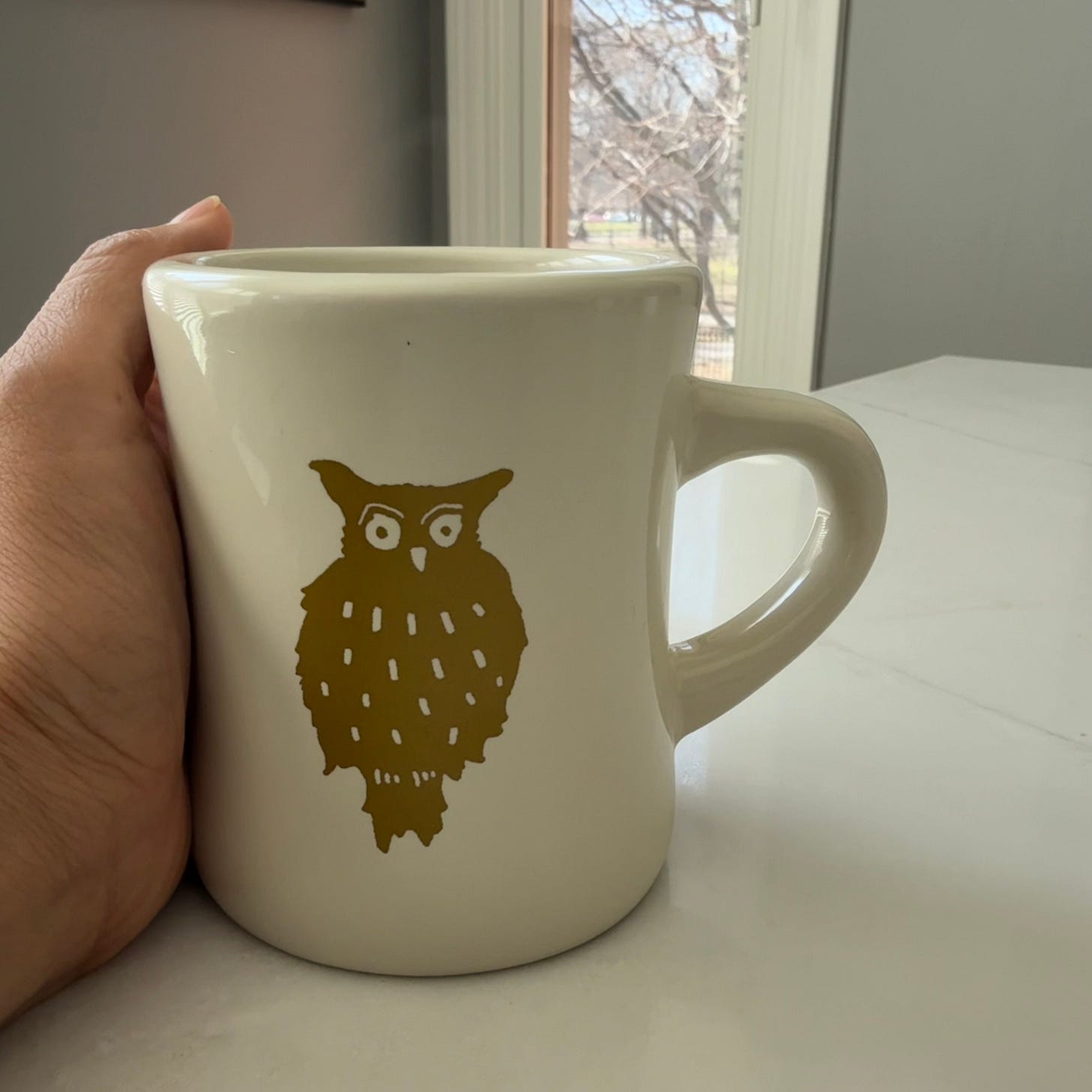 A hand holding a cream-colored mug with a golden owl design, resting on a white surface with soft natural light from a window and blurred trees visible in the background.