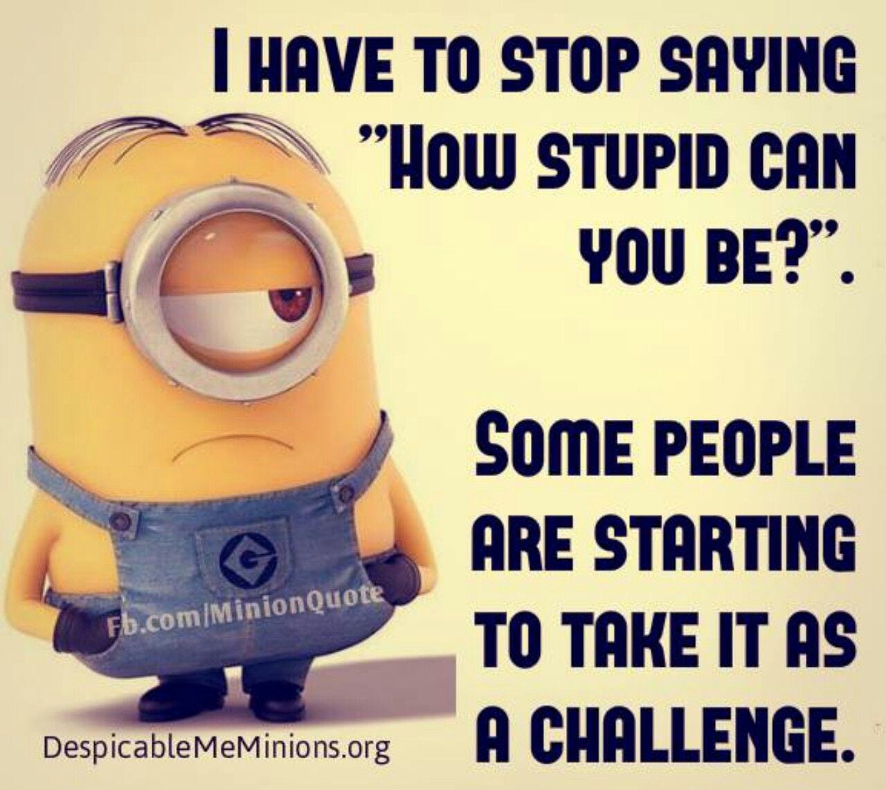 7 Tips for Making Great Iced Coffee – Espresso Shots | Minions funny, Funny minion pictures ...