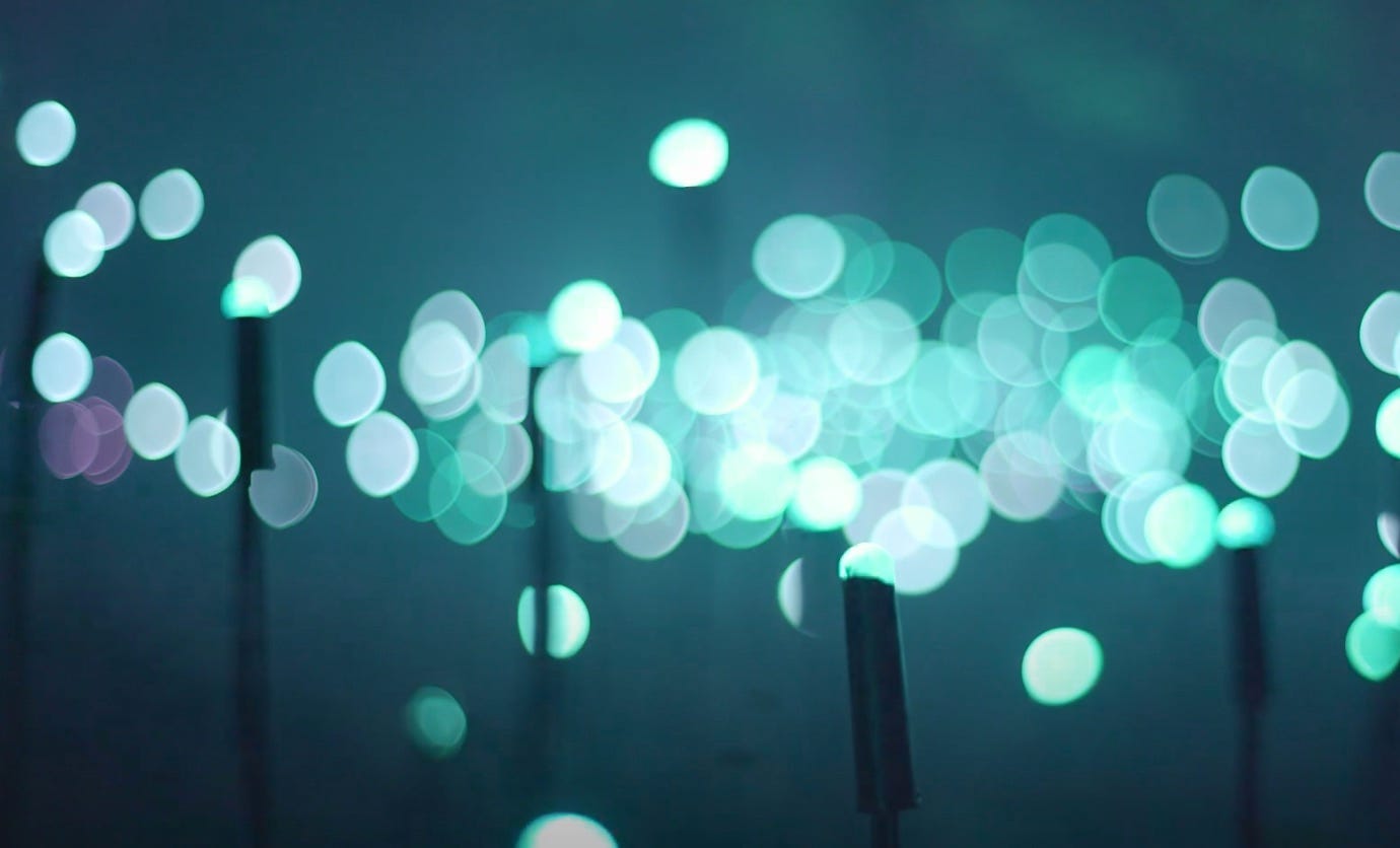 Teal marbles of light perch upon dark anemone stalks, bouncing, dancing in the night.