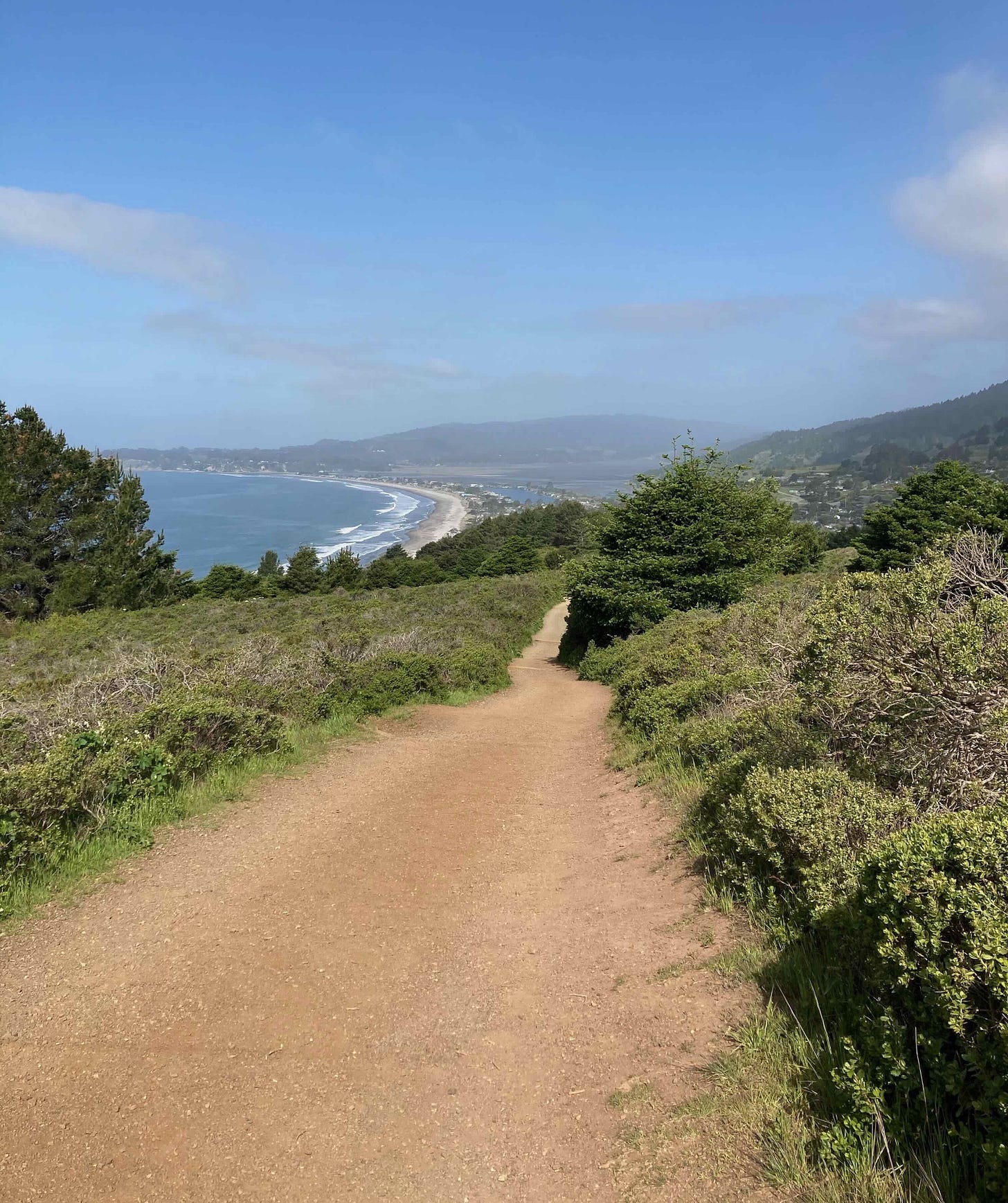 A quiet hiking trail stretching forward, symbolizing progress one step at a time.
