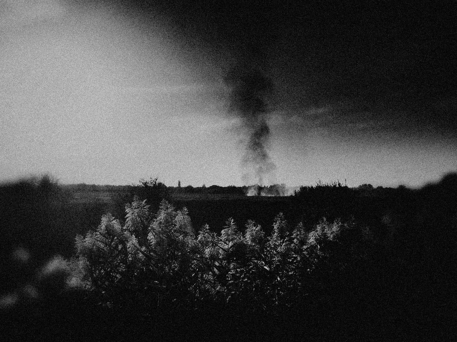 TORNADO. - Rivers + Robots