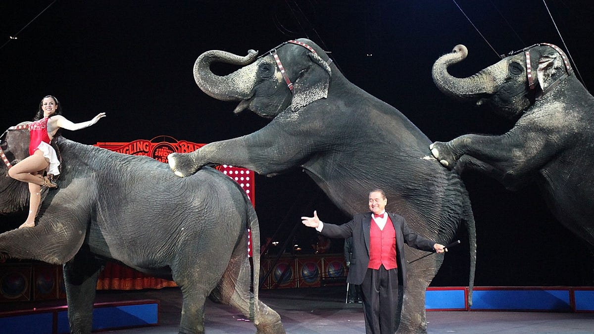 Philippines: The Circus Before the Campaign