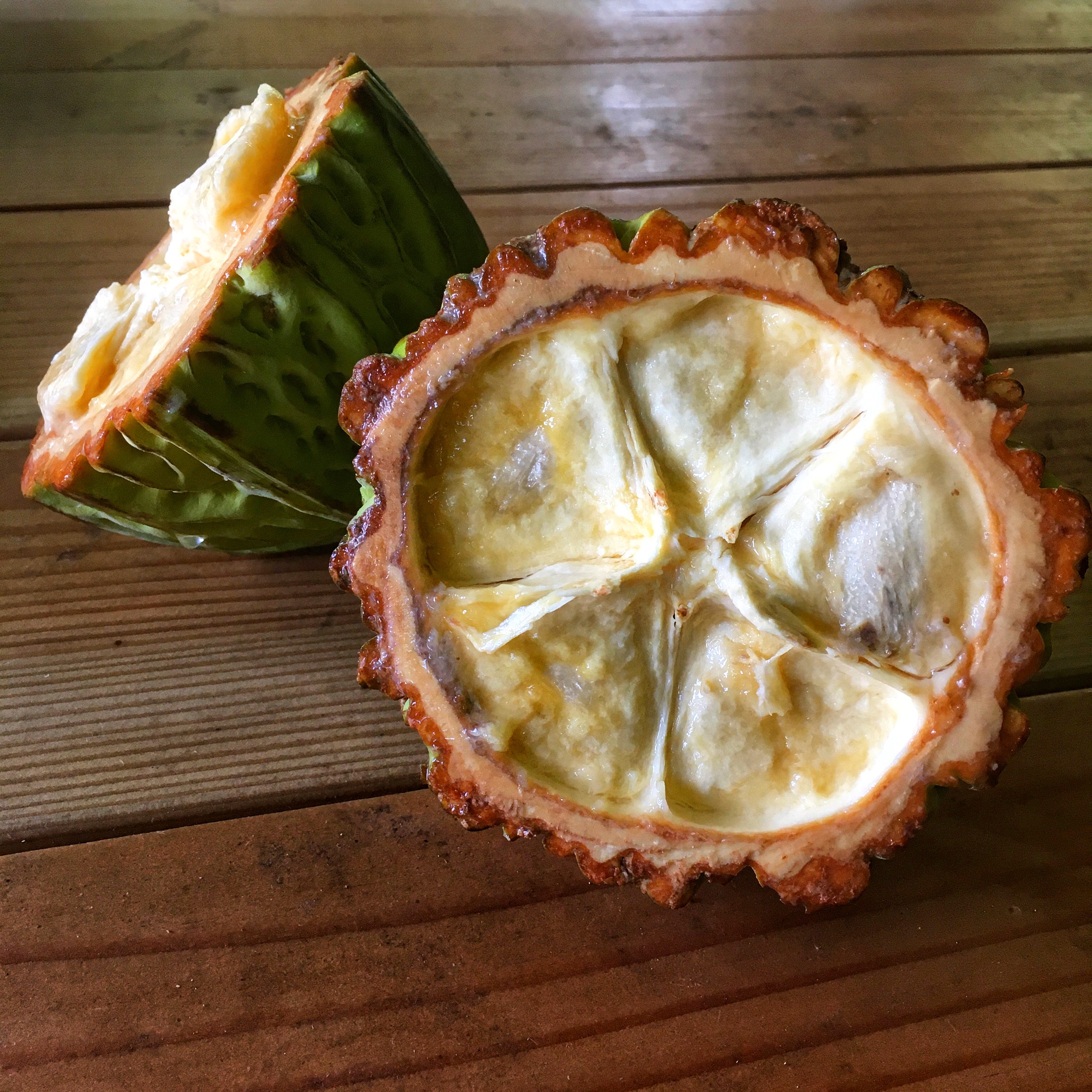 Jaguar Cacao - by Raven Hanna - One Cacao Tree