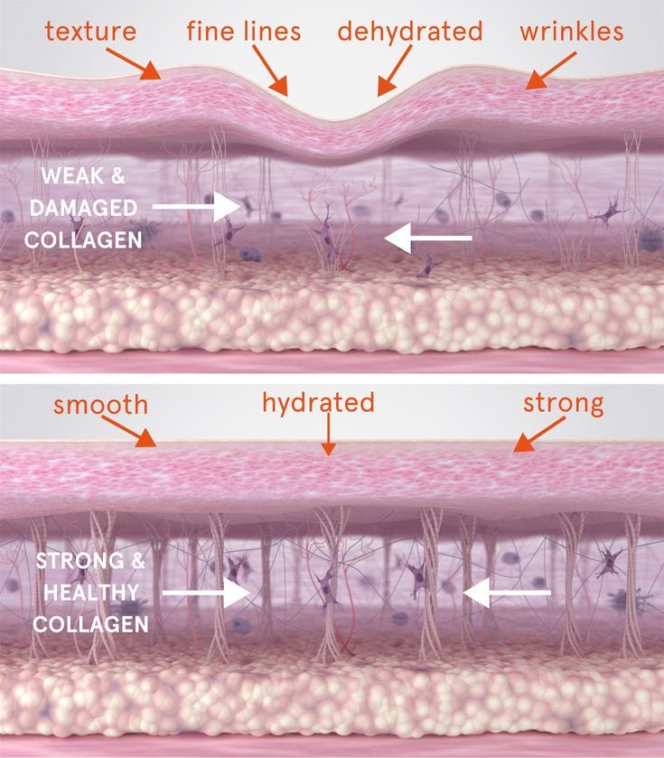 This contains: Collagen for skin This contains: Collagen for skin
