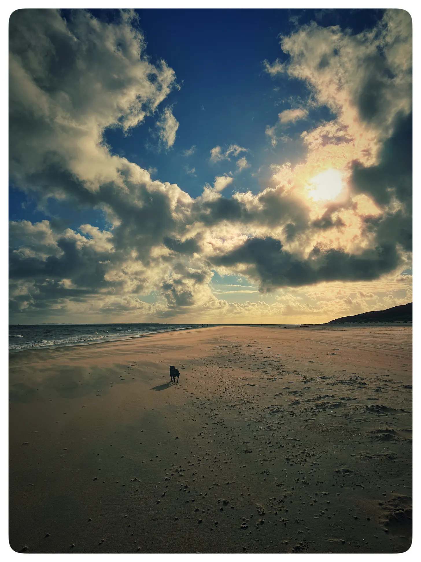Verlaten strand op Vlieland met de poten van Kapitein Muis