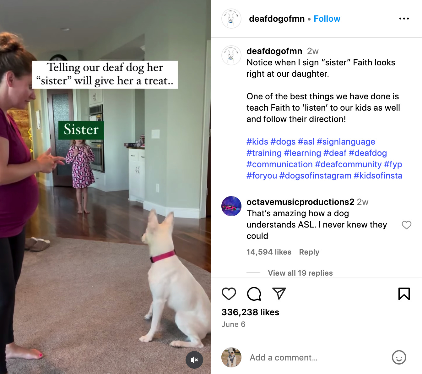 screenshot of reel from deafdogofmn about dog seeing sign that sister his going to give her a treat