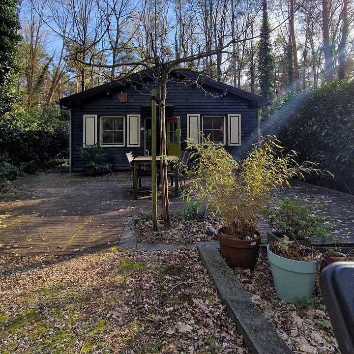 A dark wooden accessible holiday cabin in a forest, shown across four photos: the exterior with a covered veranda and portable wheelchair ramp, a shaded terrace with outdoor dining table, a bedroom with adjustable twin beds and a ceiling hoist track, and a modern bathroom with grey subway tiles, a roll-under sink, and a ceiling hoist rail.