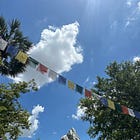 Animal Kingdom Lightning Lane Deep Dive