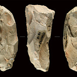 Anthropology.net
