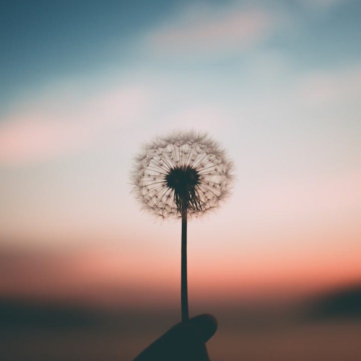 Bringing Back Hope When the Roller-Coaster of LIfe Takes a Plunge