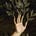 inner mythologies