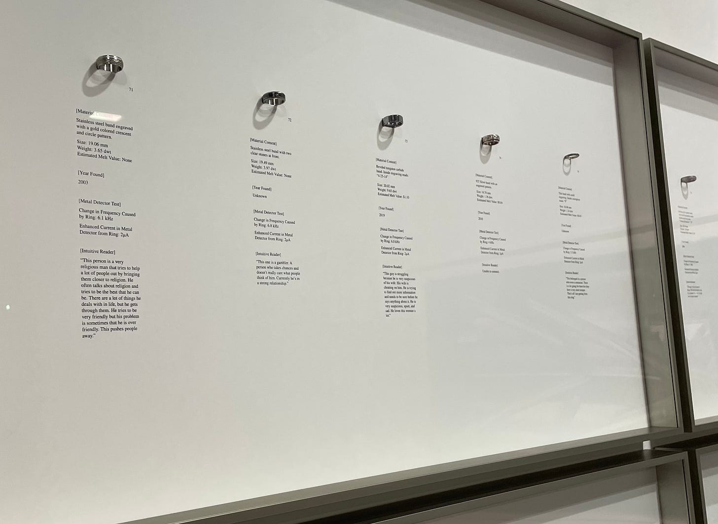 Rose Salane artwork rings MTA