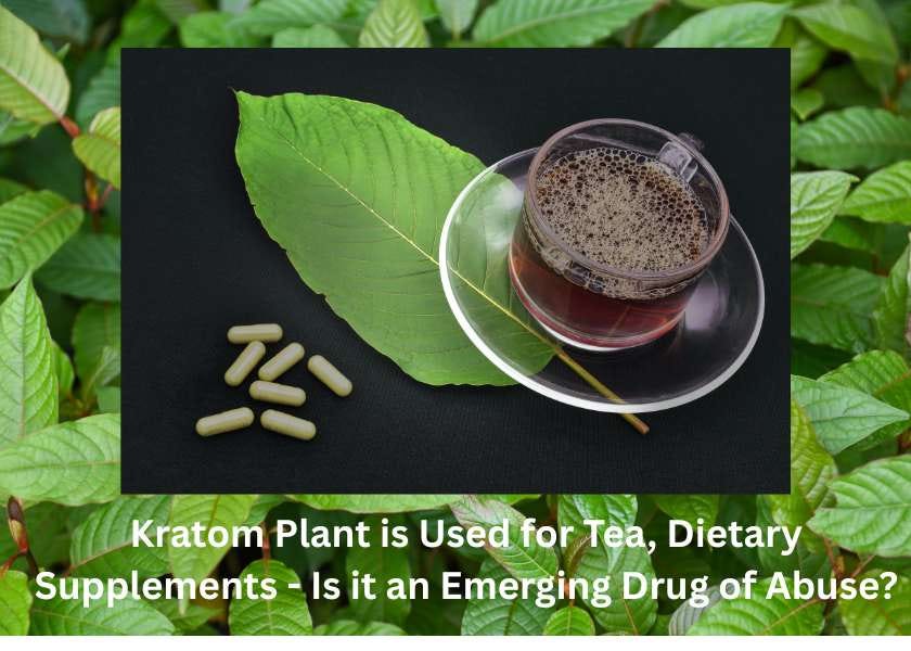 FDA asks for kratom 7-OH to be classified as schedule 1 illegal drug