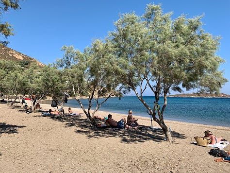 Pictures of Agriolivadi Beach
