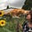Heather Vail's avatar