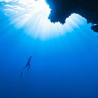 Why You Should Have an Author Business and Take an Entrepreneurial Approach to Authorship Even If, For You, "It's Not About the Money"