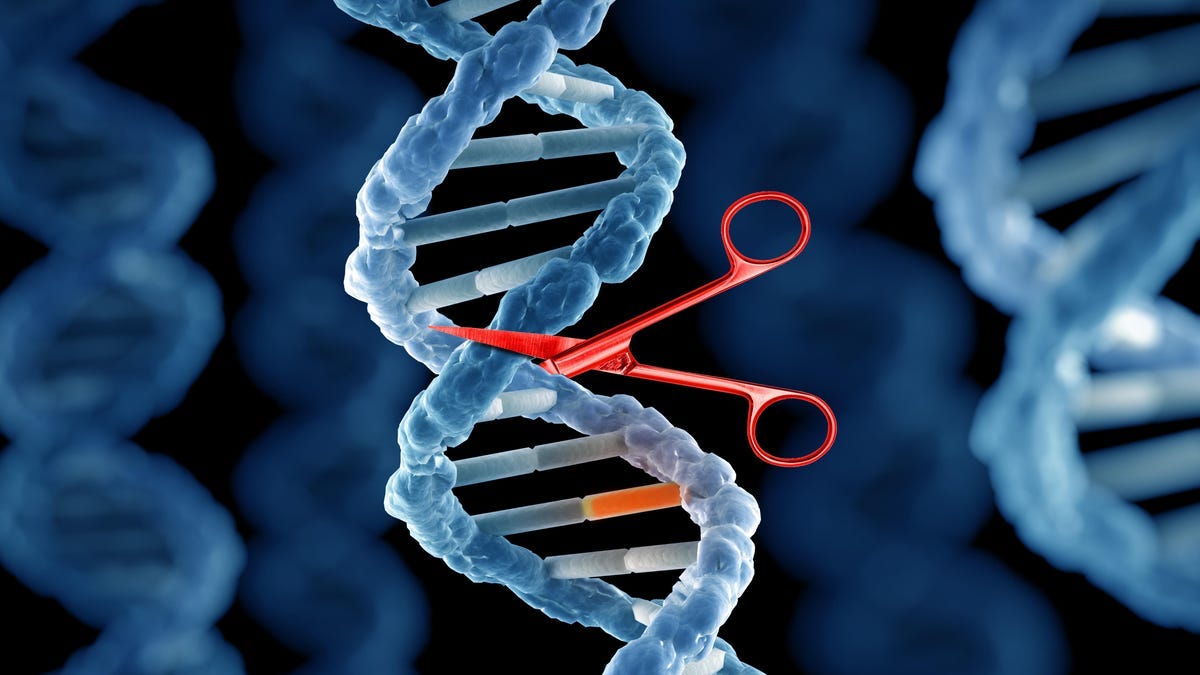 CRISPR gene editing explained: What is it and how does it work? - CNET CRISPR gene editing explained: What is it and how does it work? - CNET