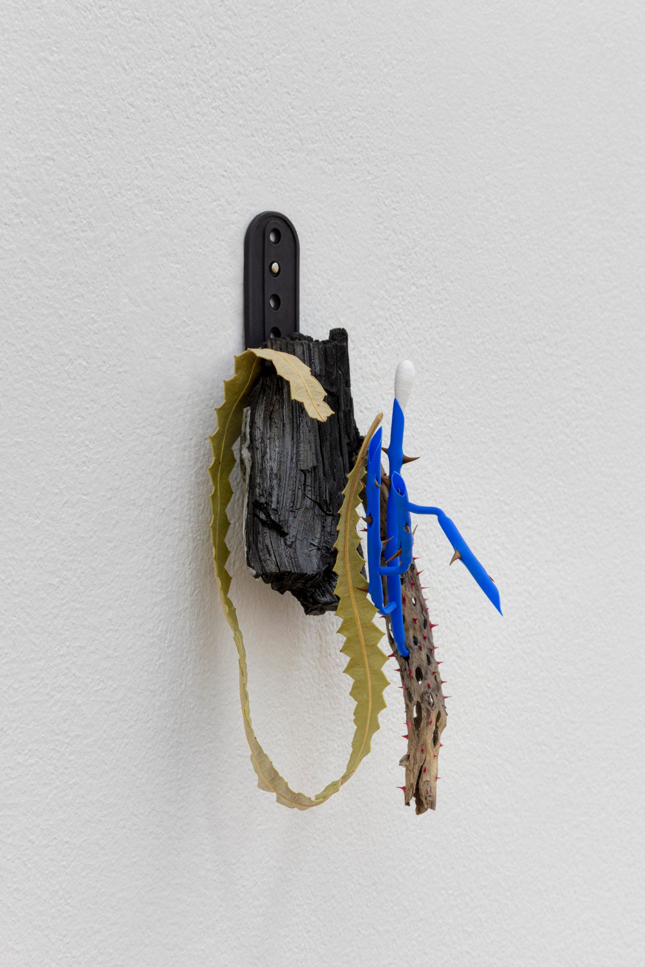 David Fesl at Sperling – Art Viewer