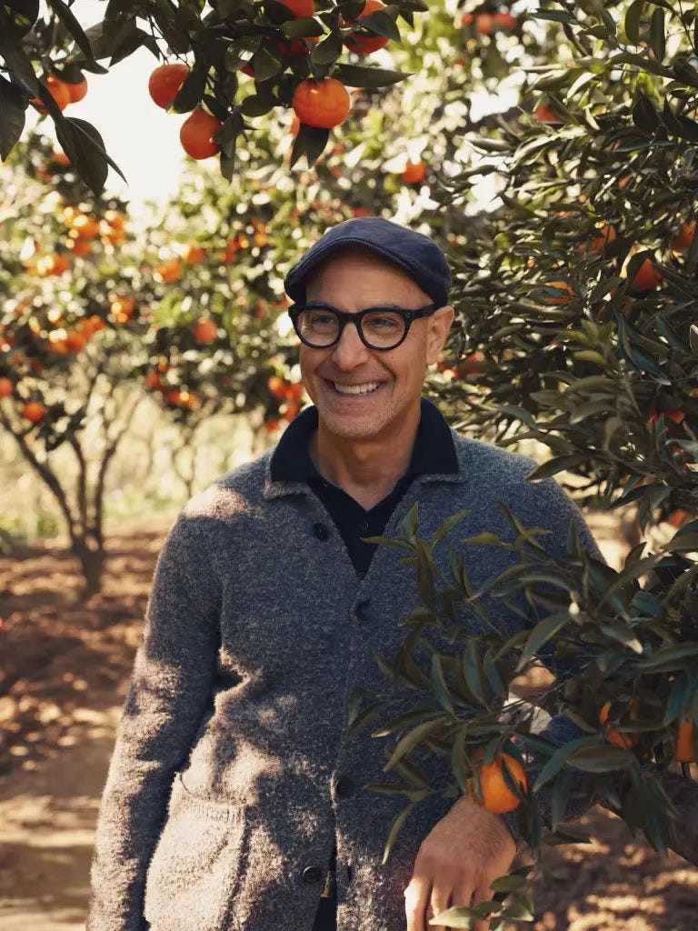 A Love Letter to Stanley Tucci's Grey Cardigan