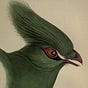Dospájaros ediciones's avatar