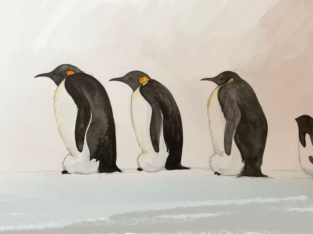 Illustration by Catherine Odell