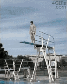 High Dive GIFs | Tenor