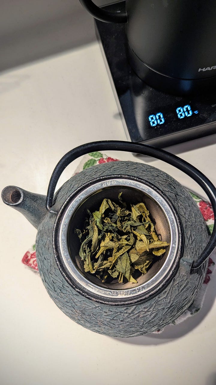 Step by step visuals of green tea leaves from freshly picked to steamed to dried to a pot of tea.