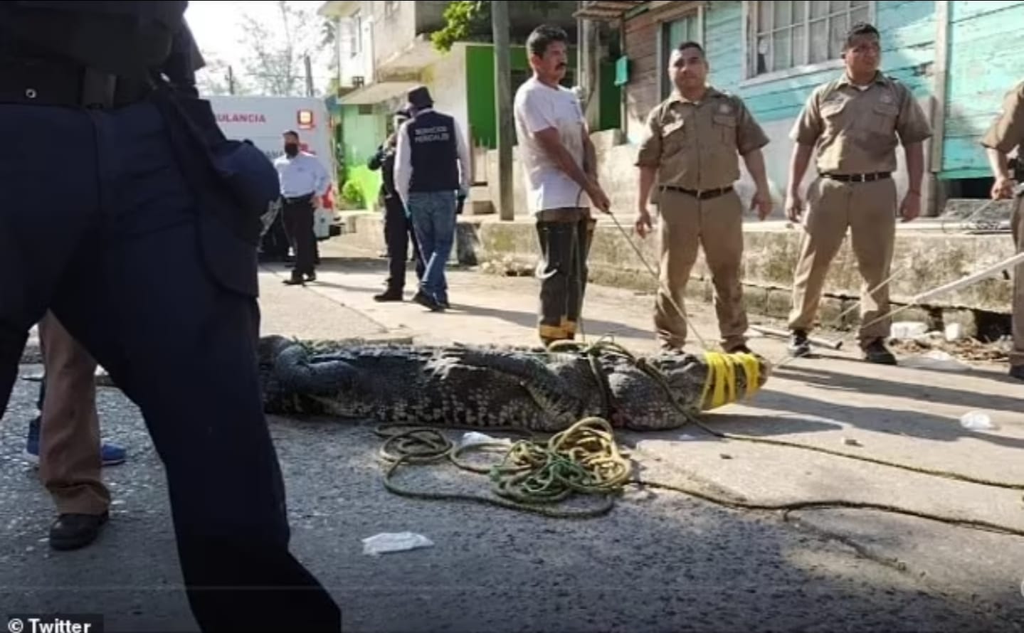 Homem é brutalmente atacado por um crocodilo no México.