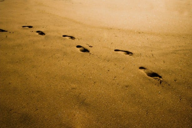 follow Christ
