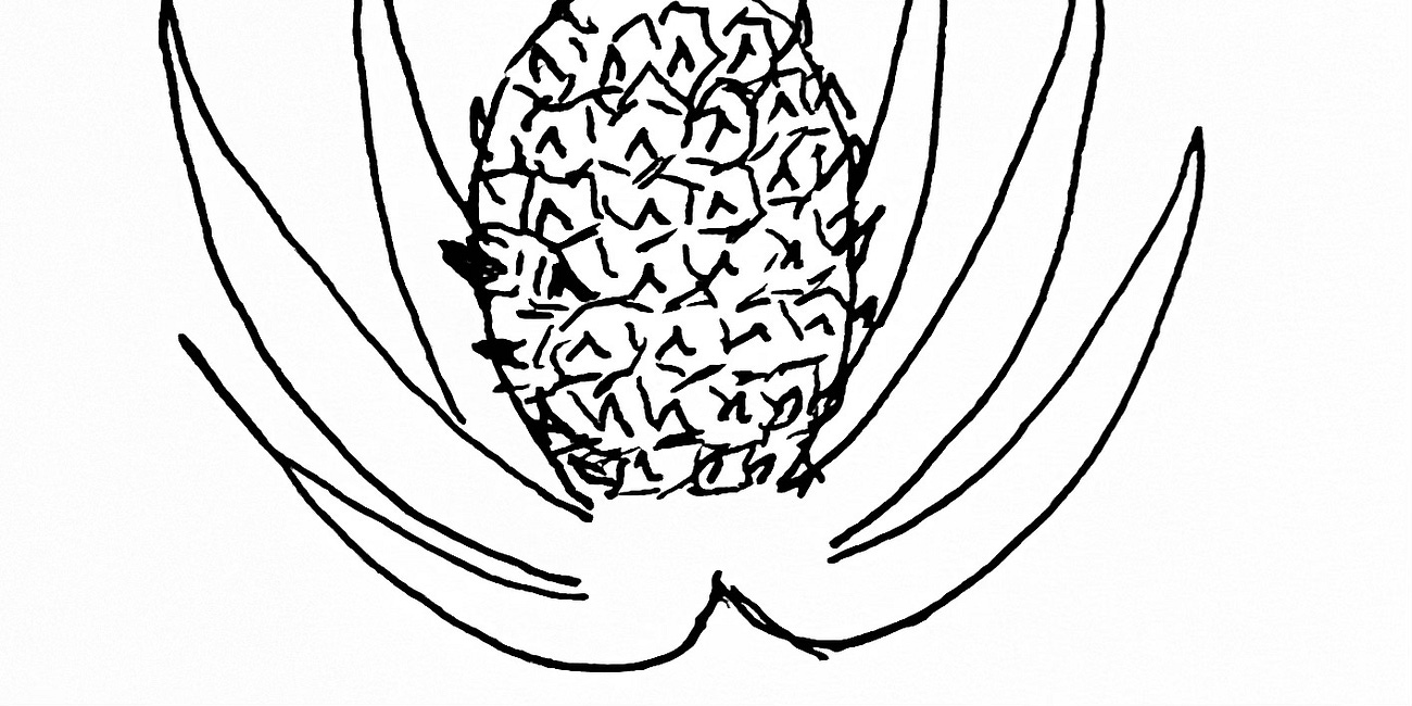 That's Pineapple! 