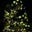 Evergreen & Grey's avatar