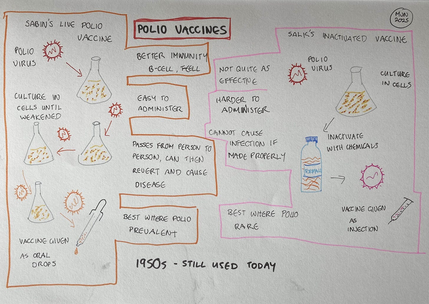 A diagram showing the process for making Sabin's live vaccine by passing it through culture and Salk's inactived vaccine by treating with chemicals