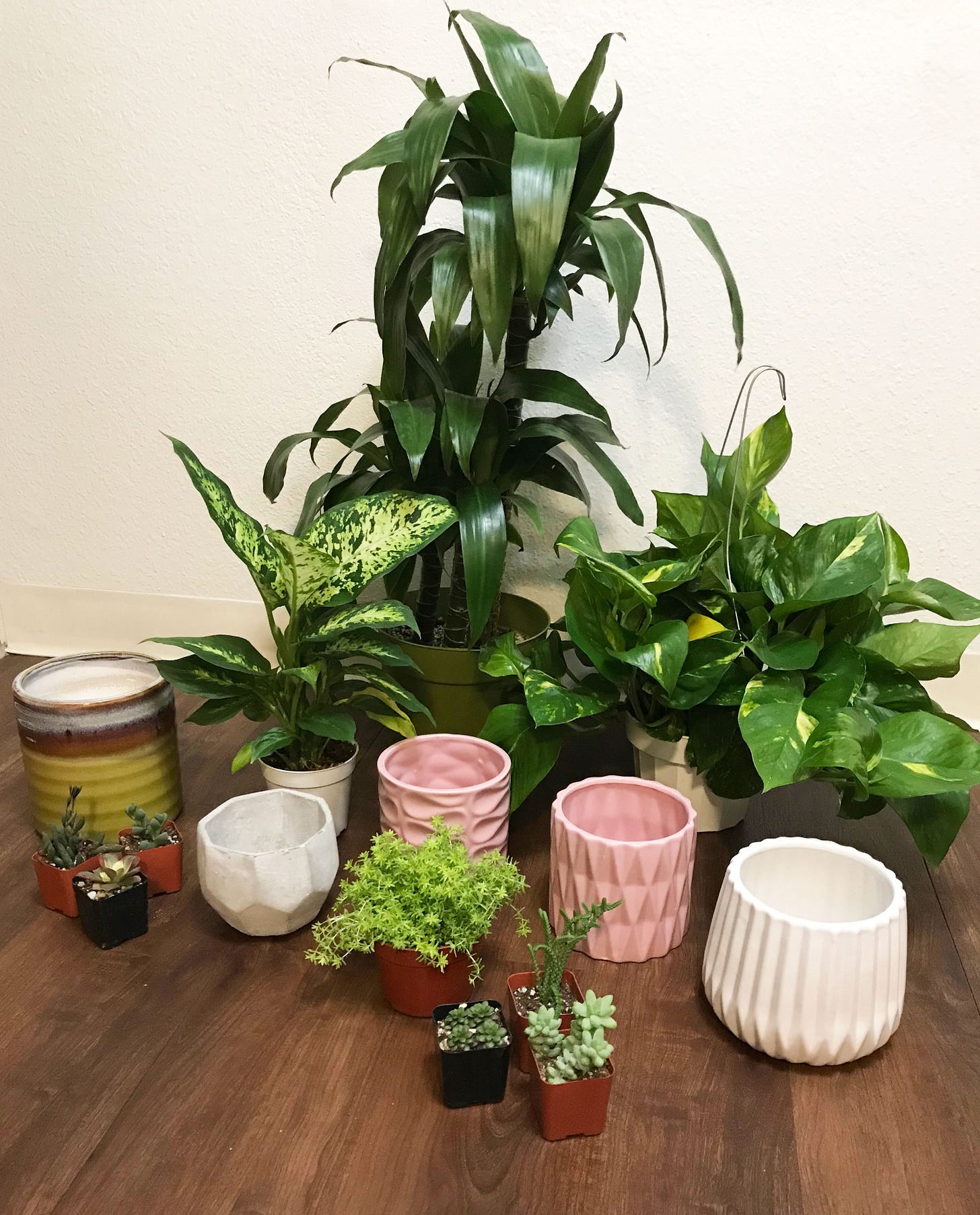 img_2169-2.jpg img_2169-2.jpg