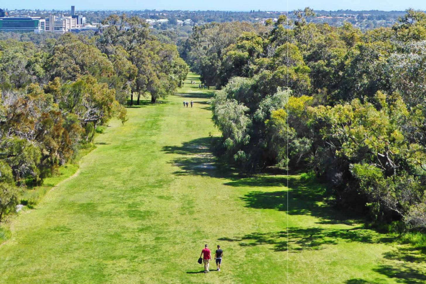 Sydney, Australia’s emerging green grid, transforming urban spaces through enhanced integration and open space connectivity.