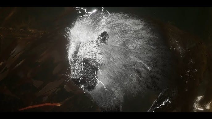 Clair Obscur: Expedition 33 - Renoir Second Story fight(Expert) - YouTube Clair Obscur: Expedition 33 - Renoir Second Story fight(Expert) - YouTube