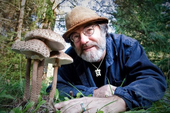 Image result for paul stamets documentary Image result for paul stamets documentary