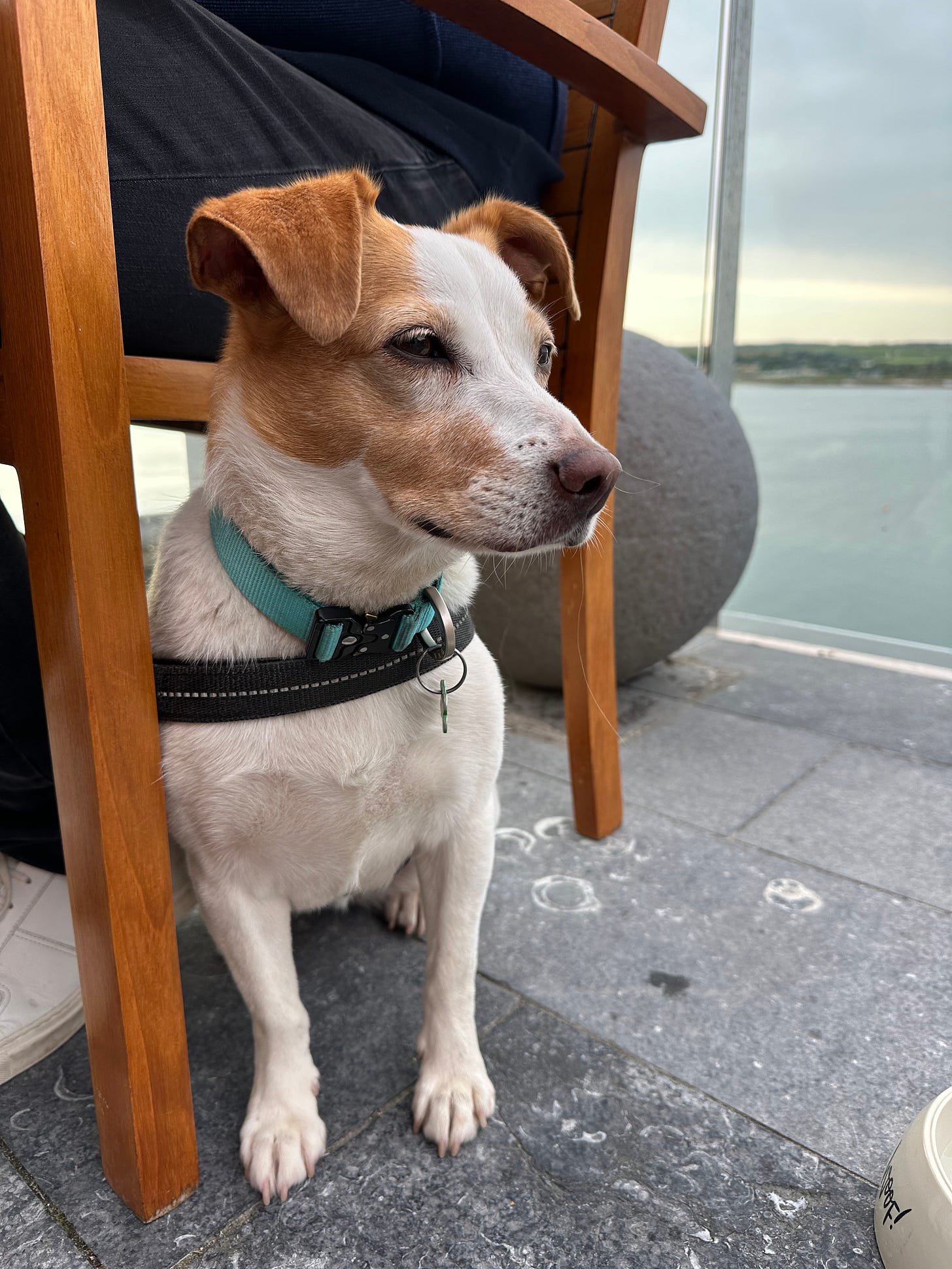 Clara on the terrace at Ardmore House Hotel