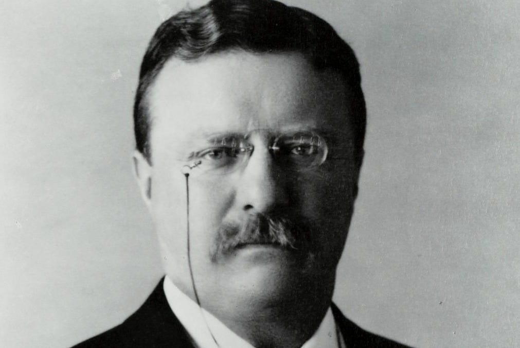 President Theodore Roosevelt
