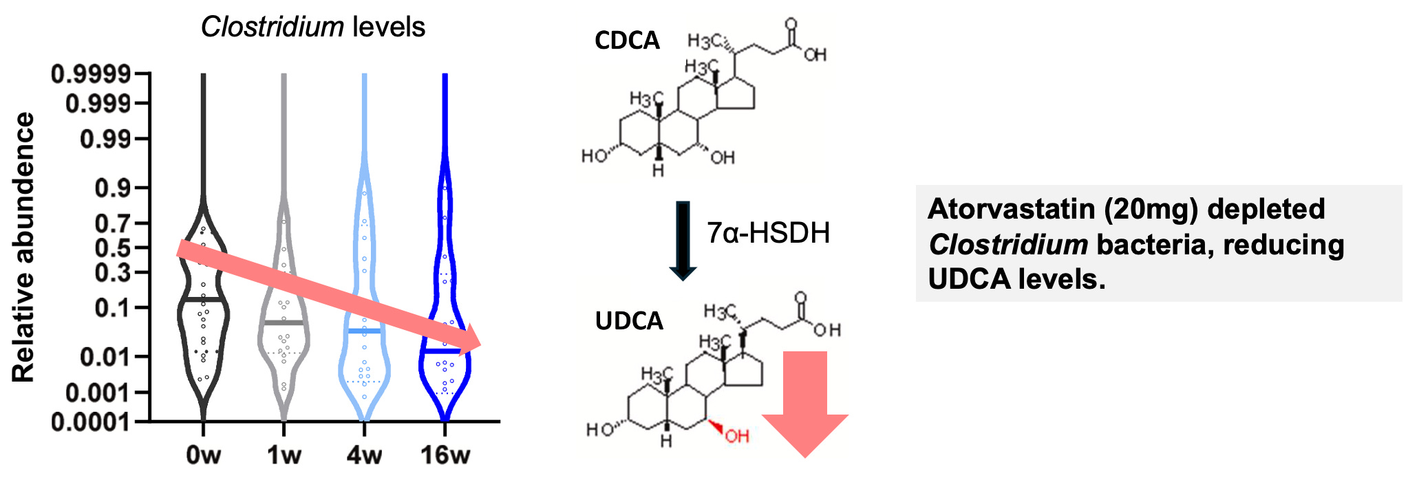 This Statin Study Should Have Changed MedicineNo One's Talking About It