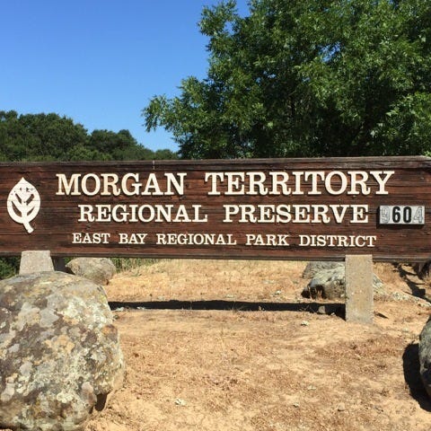 Morgan-Territory