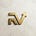 Avatar de Raviga Ventures