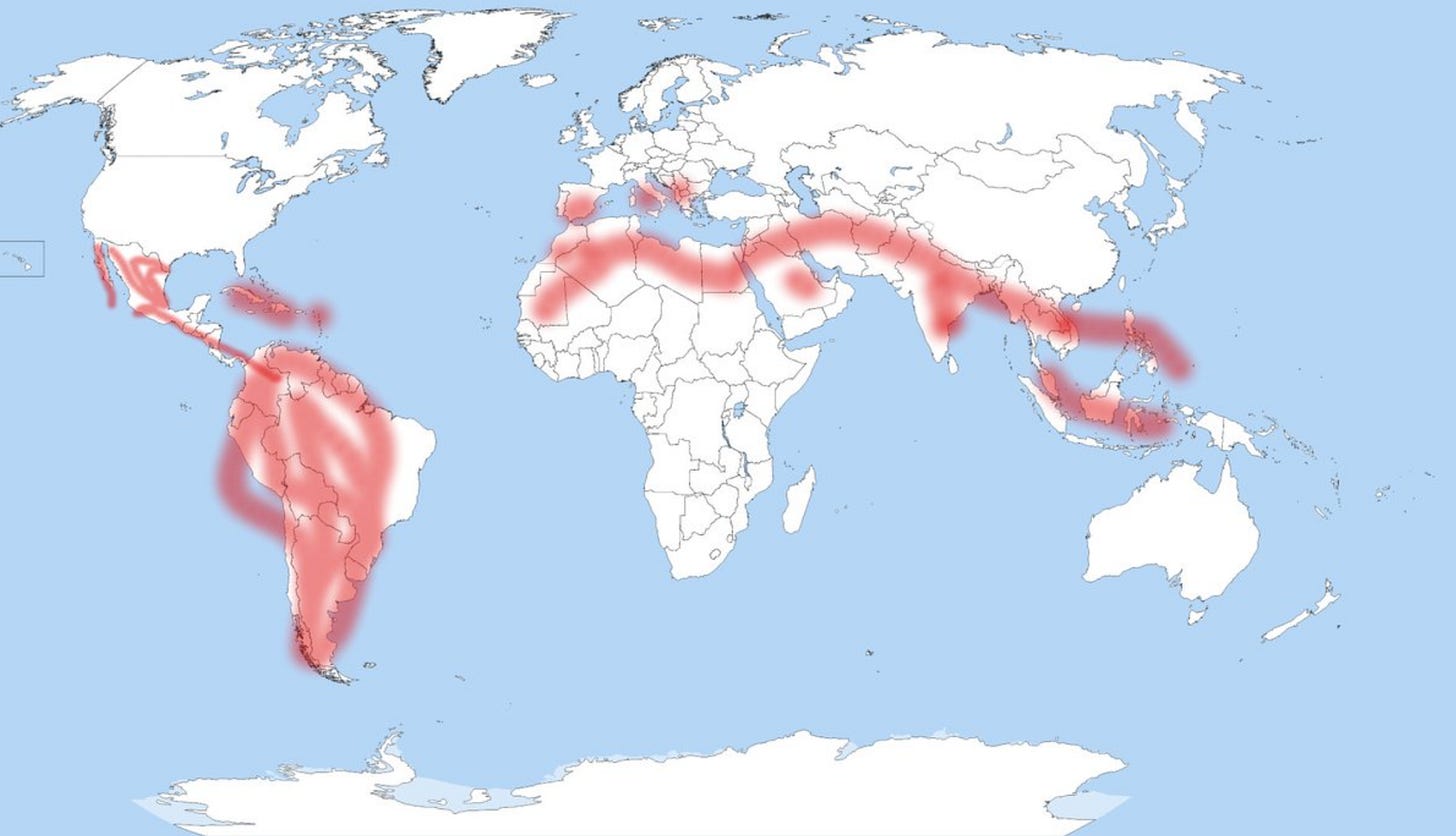 World Wide Latina Belt: Unveiling The Colonial Lens – La ...