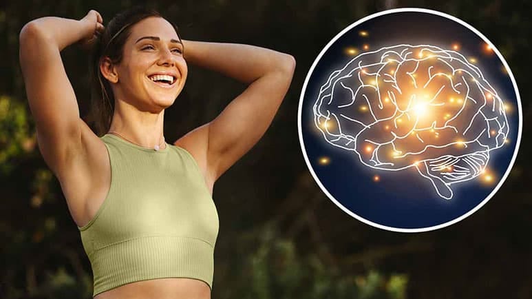 muscles brain health link