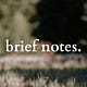 Brief Notes
